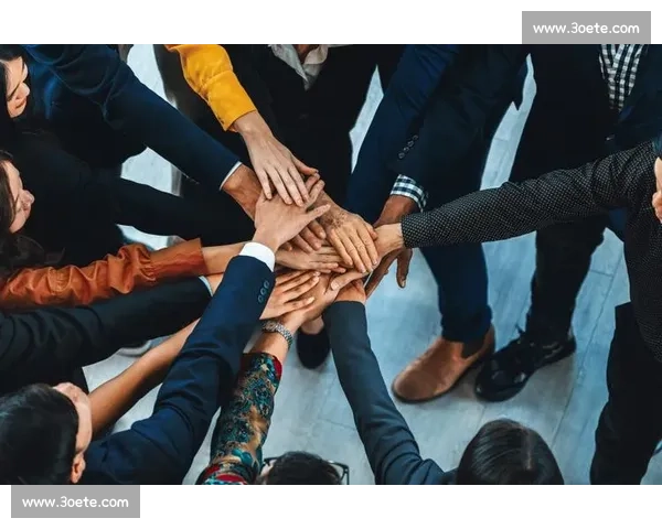 打造高效协作管理团队提升组织执行力与创新能力的策略与实践